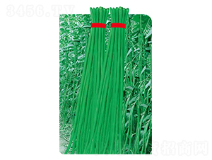 ��(sh��)���L��-���ǷN��-�߶˷N�I(y��)