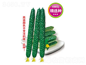 픃�(y��u)�����߮a(ch��n)��-�S�ϷN��-�߶˷N�I(y��)