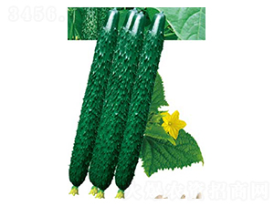 ���S58-�S�ϷN��-�߶˷N�I(y��)