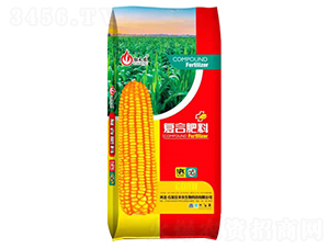 �ͺϷ���2021��tɫ���b-���r(n��ng)����