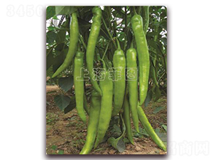 ����һ̖(h��o)-�����N��-�ƈD�N�I(y��)