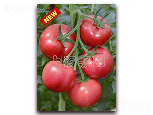 ���ǰ�̖(h��o)-��TY�۹����ѷN��-�ƈD�N�I(y��)