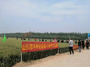 ɽ�|���S�N�I(y��)����С���F(xi��n)���^Ħ��(hu��)