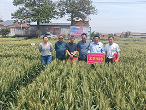 ���r(n��ng)988С���N�ӬF(xi��n)���^Ħ��(hu��)