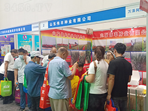 ɽ�|���S�N�I(y��)���޹�˾չ��(hu��)ʢ�r