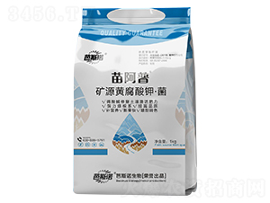 �VԴ�S����⛡���-�簢��-��˹�Z