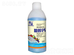 1000g�Ǵ��}-���a(b��)