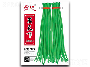 �v�����L����-�����N��-���_(d��)