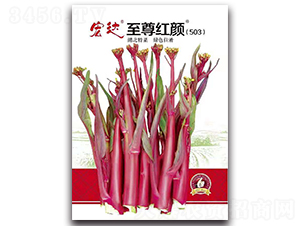 ����t�503-�ײ˷N��-���_