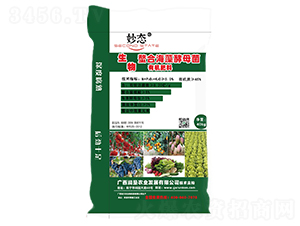 �����ЙC(j��)��-��B(t��i)-��(r��n)���r(n��ng)�I(y��)