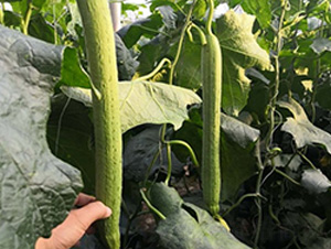 �оG���z�ϷN��-�A�~�N�I(y��)