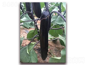 ��ʂ�L��-���ӷN��-�A�~�N�I(y��)