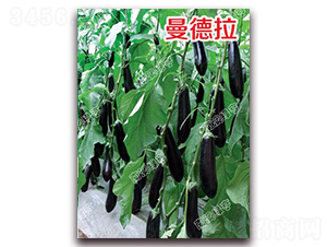 ������-���ӷN��-�G���r(n��ng)�I(y��)