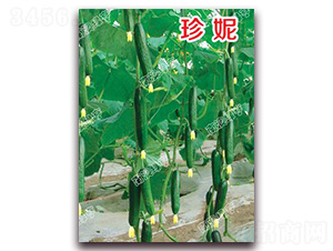 ����-С�S�ϷN��-�ϰľG��