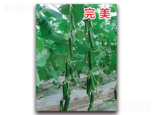 ����-С�S�ϷN��-�ϰľG��