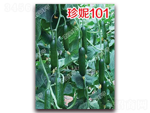 ����101-С�S�ϷN��-�ϰľG��