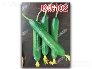 ����102-С�S�ϷN��-�ϰľG��