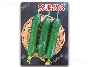 ����103-С�S�ϷN��-�ϰľG��