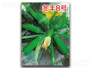 ���S8̖(h��o)-�����J�N��-�ϰľG��