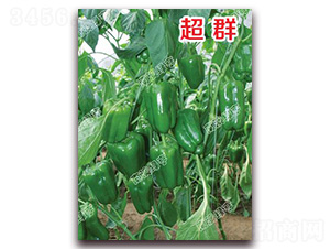 ��Ⱥ-�𽷷N��-�ϰľG��