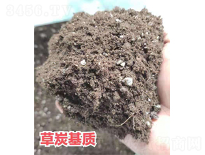 ��̿���|(zh��)-����r(n��ng)�I(y��)