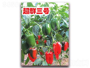 ��Ⱥ��̖(h��o)-�𽷷N��-�ϰľG��