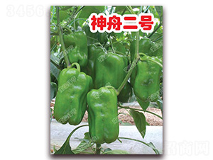 ���۶�̖(h��o)-�𽷷N��-�ϰľG��