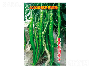 ���L(zh��ng)ȫ��烞(y��u)-�����N��-Ӣ���m��