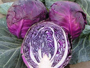 �ϸ��{�N��-Ӣ���m��