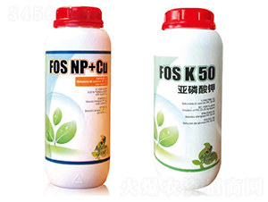 �������-�������