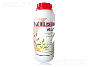 �������ͺϰ�����-�������