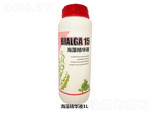 ���徫�AҺ-�������