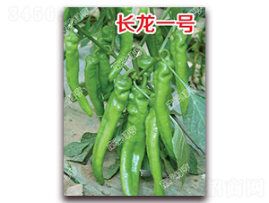 �L(zh��ng)��һ̖(h��o)-�⽷�N��-�ϰľG��