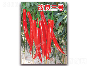 ������̖(h��o)-�⽷�N��-�ϰľG��