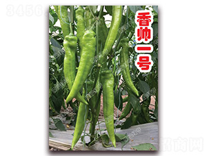 �㎛һ̖(h��o)-�⽷�N��-�ϰľG��