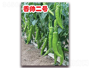 �㎛��̖(h��o)-�⽷�N��-�ϰľG��