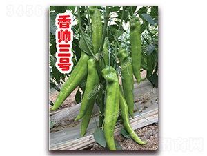 �㎛��̖(h��o)-�⽷�N��-�ϰľG��