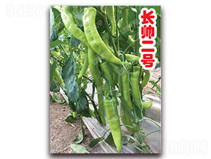 �L(zh��ng)����̖(h��o)-�⽷�N��-�ϰľG��