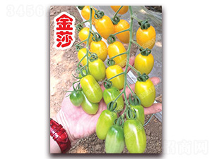 ��ɯ-��ɫ���ѷN��-�ϰľG��