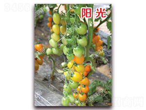 �(y��ng)��-���ҷ��ѷN��-�ϰľG��