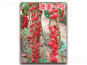 ����һ̖(h��o)-���ҷ��ѷN��-�ϰľG��