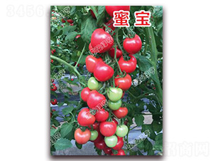 �ی�-���ҷ��ѷN��-�ϰľG��