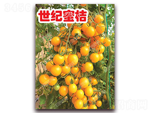 ���o(j��)�۽�-���ҷ��ѷN��-�ϰľG��