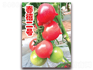 ������̖(h��o)-���ҷ��ѷN��-�ϰľG��