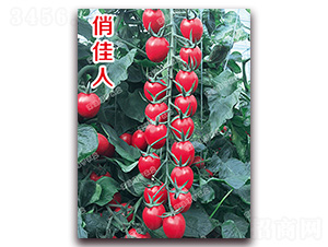 �μ���-���ҷ��ѷN��-�ϰľG��