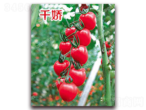 ǧ��-���ҷ��ѷN��-�ϰľG��