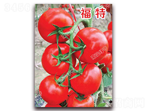 ����-��t���ѷN��-�ϰľG��