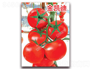 ���P��-��t���ѷN��-�ϰľG��