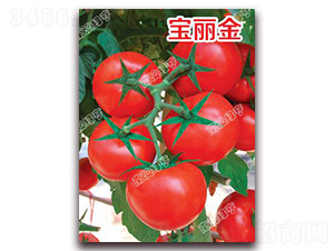 ������-��t���ѷN��-�ϰľG��