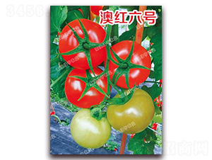 �ļt��̖(h��o)-��t���ѷN��-�ϰľG��